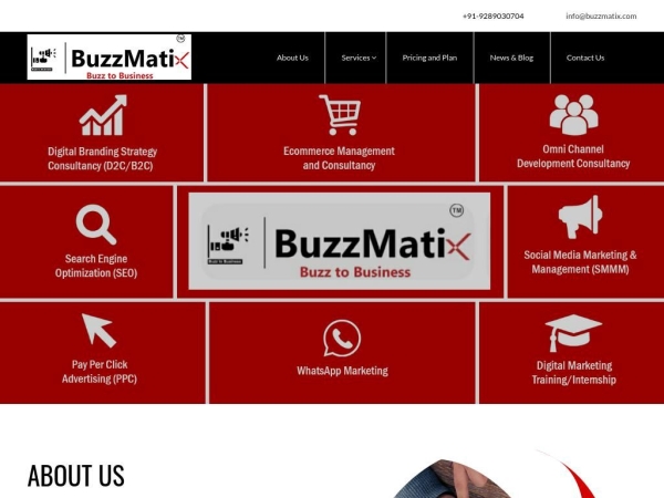 buzzmatix.com