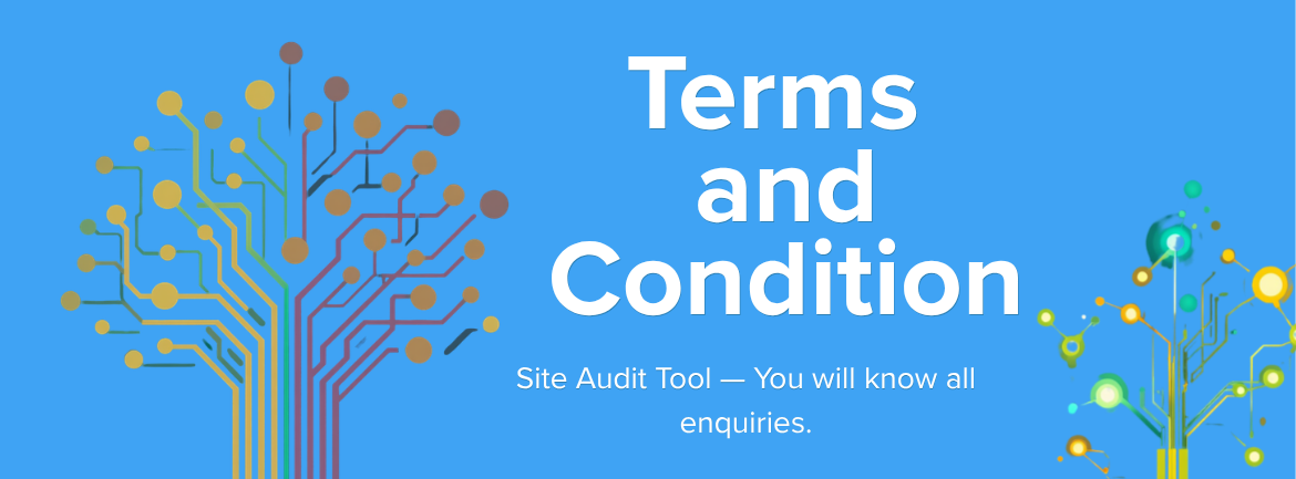 Terms and Conditions